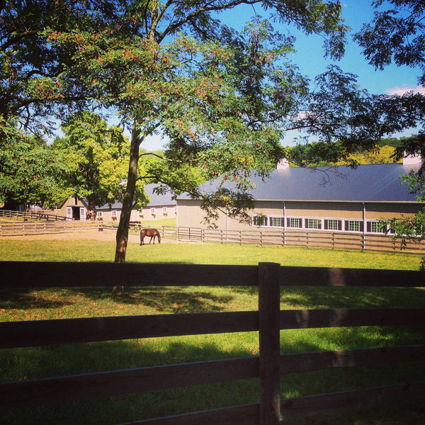 Meet Thomas and Amber Harte, Brass Ring Farm NJ