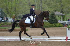 robyn fisher dressage rider and horse