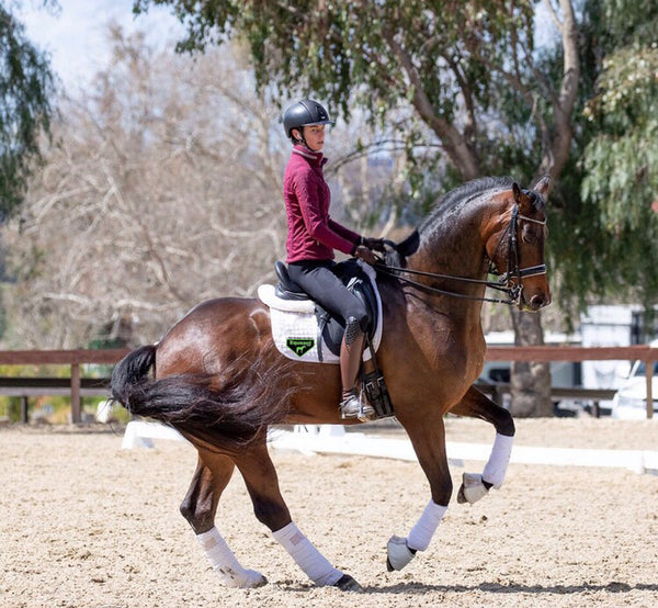 Meet My Horse - Jenny Wetterau and Hertog