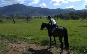 girl on a trail rider in green grass pastures. What is the best weight builder for horses What is best to feed older horses How do you build muscle in a horse's hind end What can I feed my horse to gain weight How can I put weight on my old horse How do y