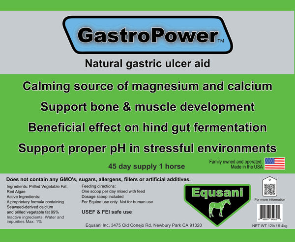 Natural Gastric Ulcer Aid + Minerals + Fatty Acids