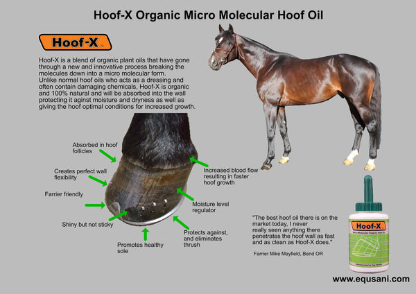 Hoof-X Organic Micro Molecular Hoof Oil